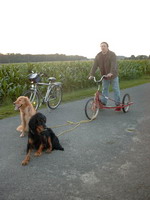 Anton und Afra am Hundewagen